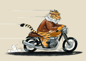 Go Get 'Em, Tiger! - fine art print